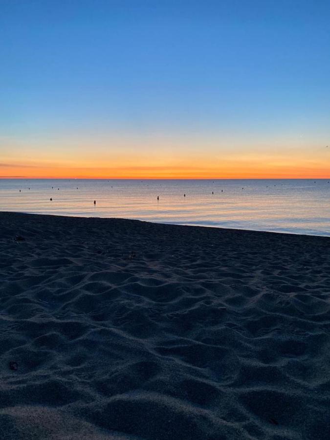 Appartamento Un Petit Nid Les Pieds Dans L'Eau Argelès-sur-Mer Esterno foto